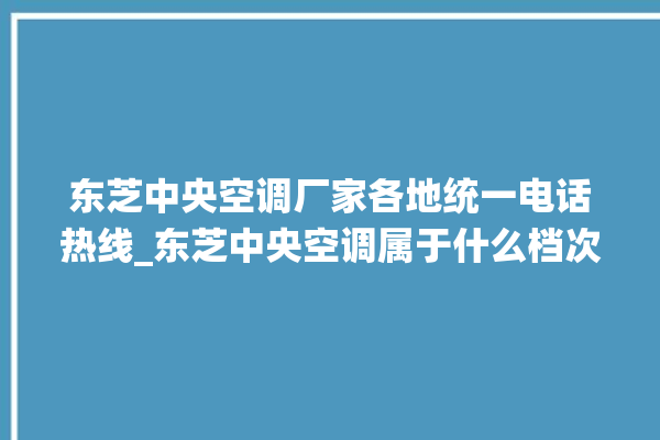 东芝中央空调厂家各地统一电话热线_东芝中央空调属于什么档次 。东芝