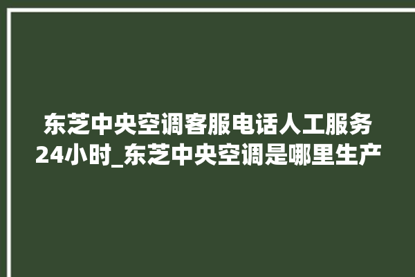 东芝中央空调客服电话人工服务24小时_东芝中央空调是哪里生产的 。东芝