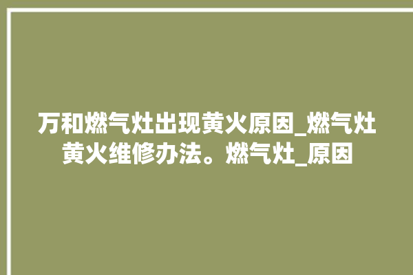 万和燃气灶出现黄火原因_燃气灶黄火维修办法。燃气灶_原因