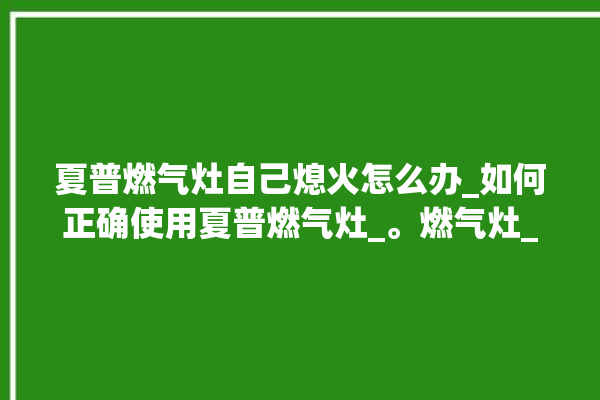 夏普燃气灶自己熄火怎么办_如何正确使用夏普燃气灶_。燃气灶_如何正确