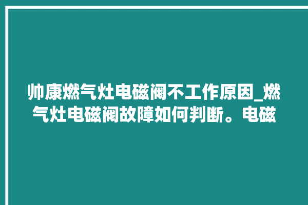 帅康燃气灶电磁阀不工作原因_燃气灶电磁阀故障如何判断。电磁阀_燃气灶