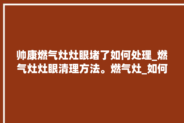 帅康燃气灶灶眼堵了如何处理_燃气灶灶眼清理方法。燃气灶_如何处理