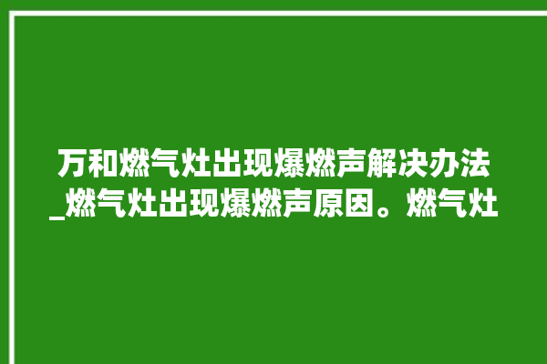 万和燃气灶出现爆燃声解决办法_燃气灶出现爆燃声原因。燃气灶_解决办法