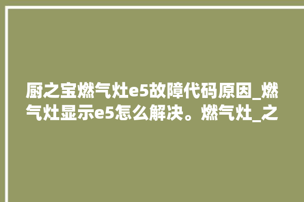 厨之宝燃气灶e5故障代码原因_燃气灶显示e5怎么解决。燃气灶_之宝