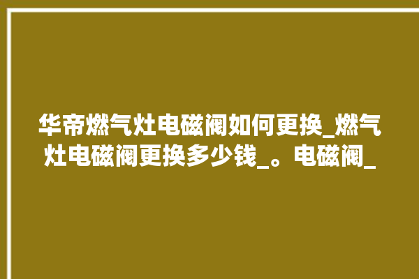 华帝燃气灶电磁阀如何更换_燃气灶电磁阀更换多少钱_。电磁阀_燃气灶