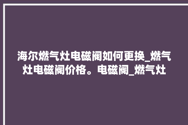 海尔燃气灶电磁阀如何更换_燃气灶电磁阀价格。电磁阀_燃气灶