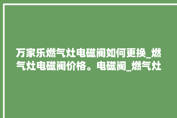 万家乐燃气灶电磁阀如何更换_燃气灶电磁阀价格。电磁阀_燃气灶