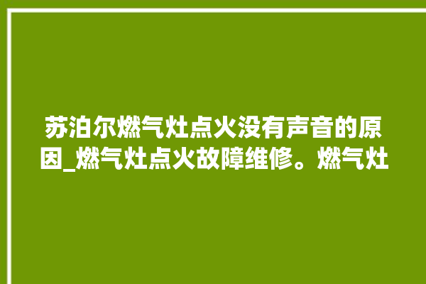 苏泊尔燃气灶点火没有声音的原因_燃气灶点火故障维修。燃气灶_故障