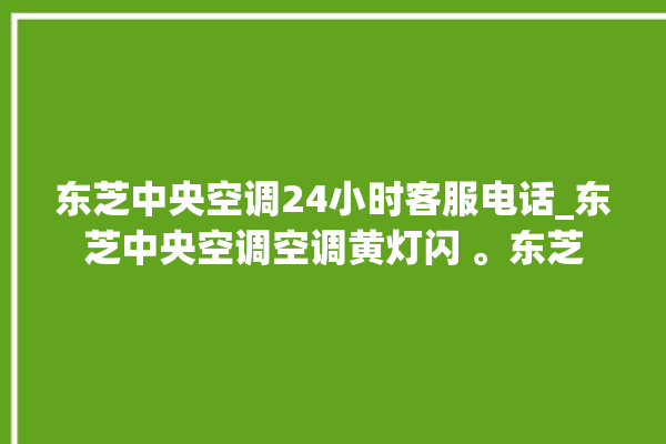 东芝中央空调24小时客服电话_东芝中央空调空调黄灯闪 。东芝