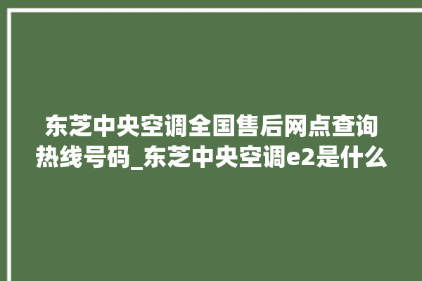 东芝中央空调全国售后网点查询热线号码_东芝中央空调e2是什么故障怎么解决 。东芝