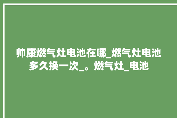 帅康燃气灶电池在哪_燃气灶电池多久换一次_。燃气灶_电池