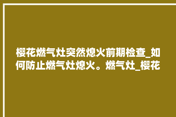 樱花燃气灶突然熄火前期检查_如何防止燃气灶熄火。燃气灶_樱花