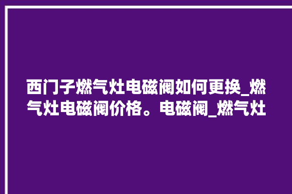 西门子燃气灶电磁阀如何更换_燃气灶电磁阀价格。电磁阀_燃气灶