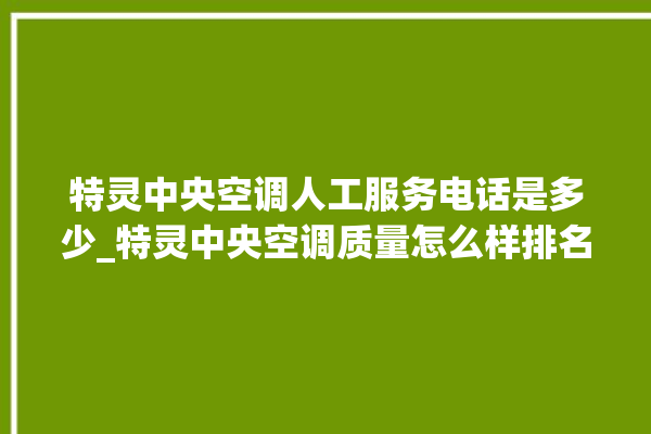 特灵中央空调人工服务电话是多少_特灵中央空调质量怎么样排名第几 。中央空调