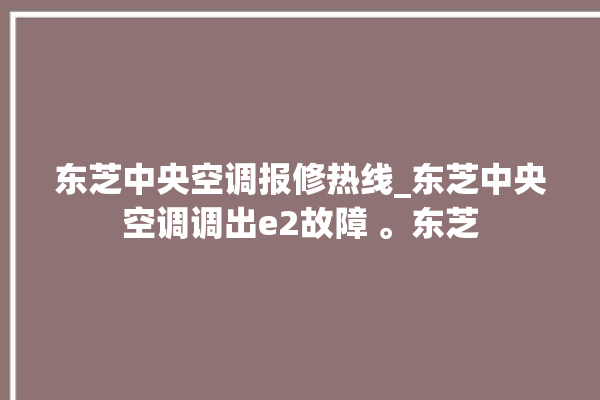 东芝中央空调报修热线_东芝中央空调调出e2故障 。东芝