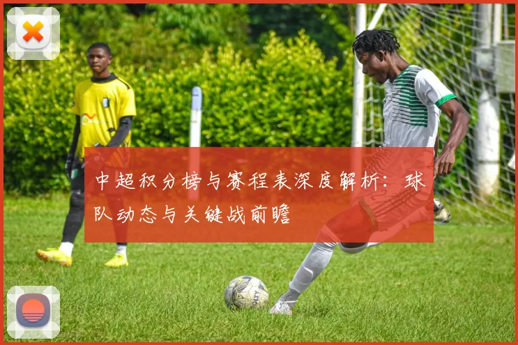 中超积分榜与赛程表深度解析：球队动态与关键战前瞻