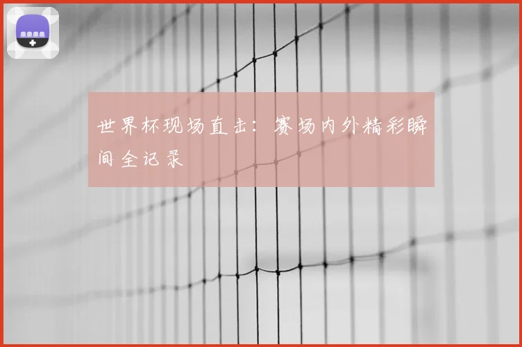 世界杯现场直击：赛场内外精彩瞬间全记录