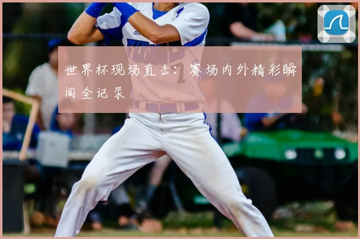 世界杯现场直击：赛场内外精彩瞬间全记录