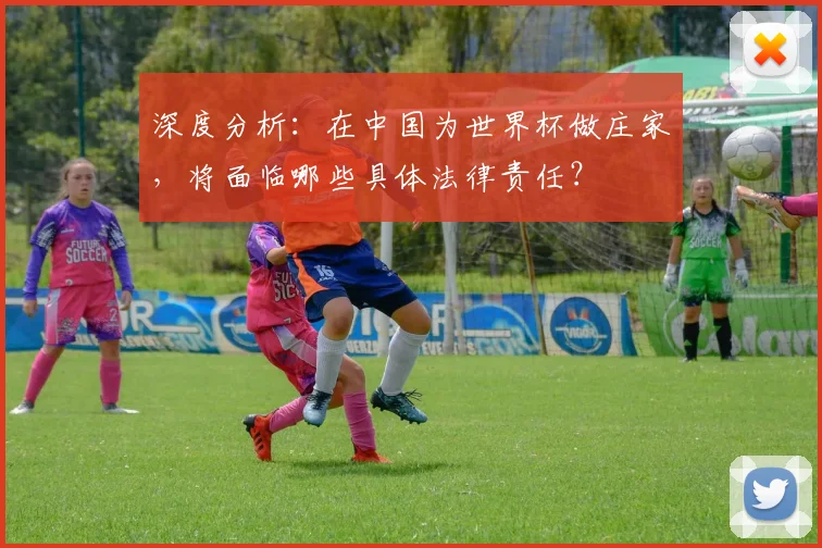 深度分析：在中国为世界杯做庄家，将面临哪些具体法律责任？
