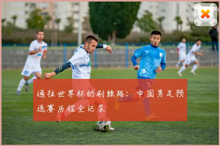 通往世界杯的荆棘路:中国男足预选赛历程全记录