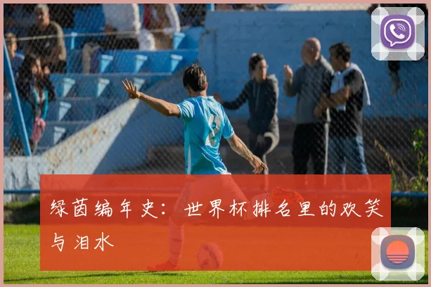 绿茵编年史:世界杯排名里的欢笑与泪水