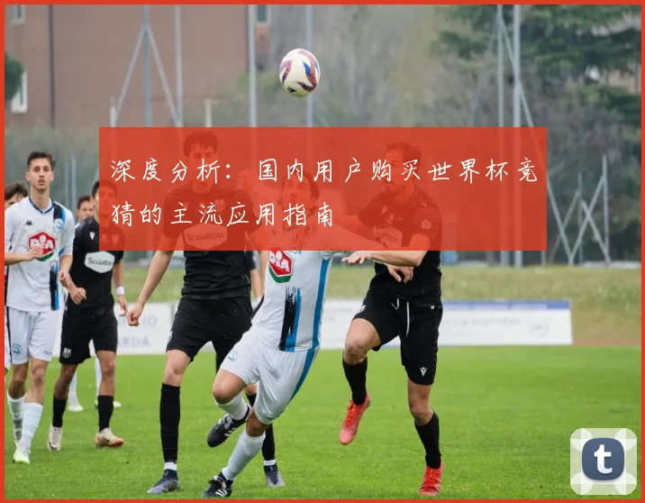 深度分析：国内用户购买世界杯竞猜的主流应用指南
