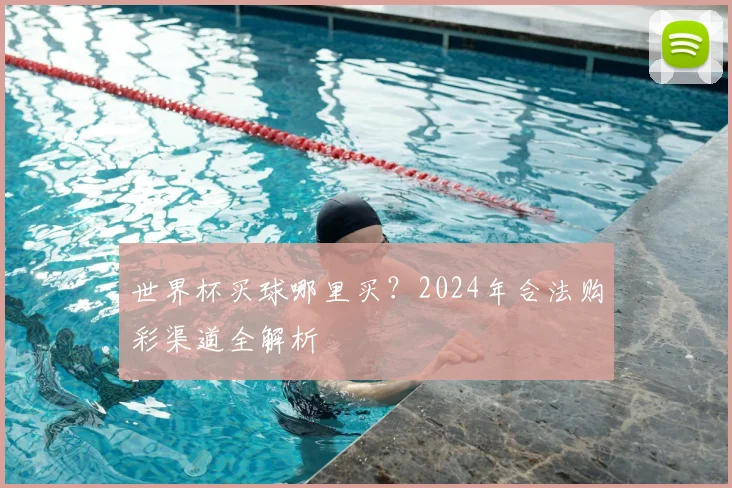 世界杯买球哪里买?2024年合法购彩渠道全解析