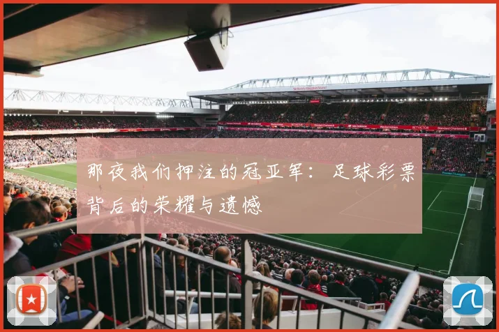 那夜我们押注的冠亚军：足球彩票背后的荣耀与遗憾