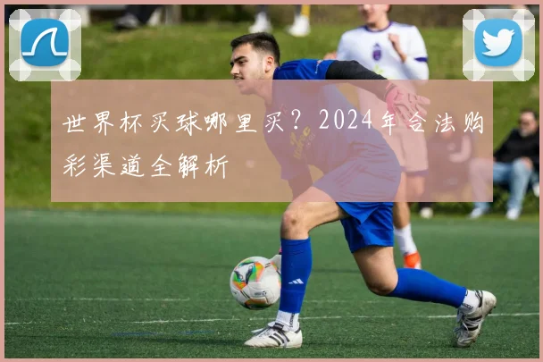 世界杯买球哪里买?2024年合法购彩渠道全解析