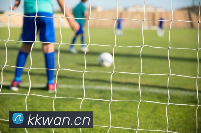 新爱体育app官网APP 封面图